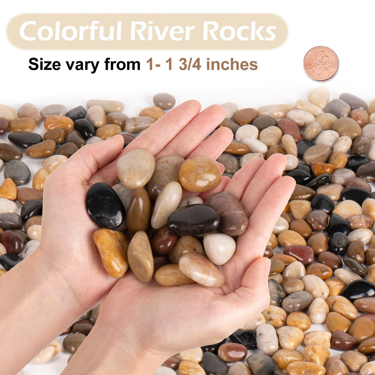 GASPRO terrarium rocks deliver neat surface for moisture control.
