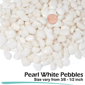 GasPro white river rocks decorative rocks for vases and displays.