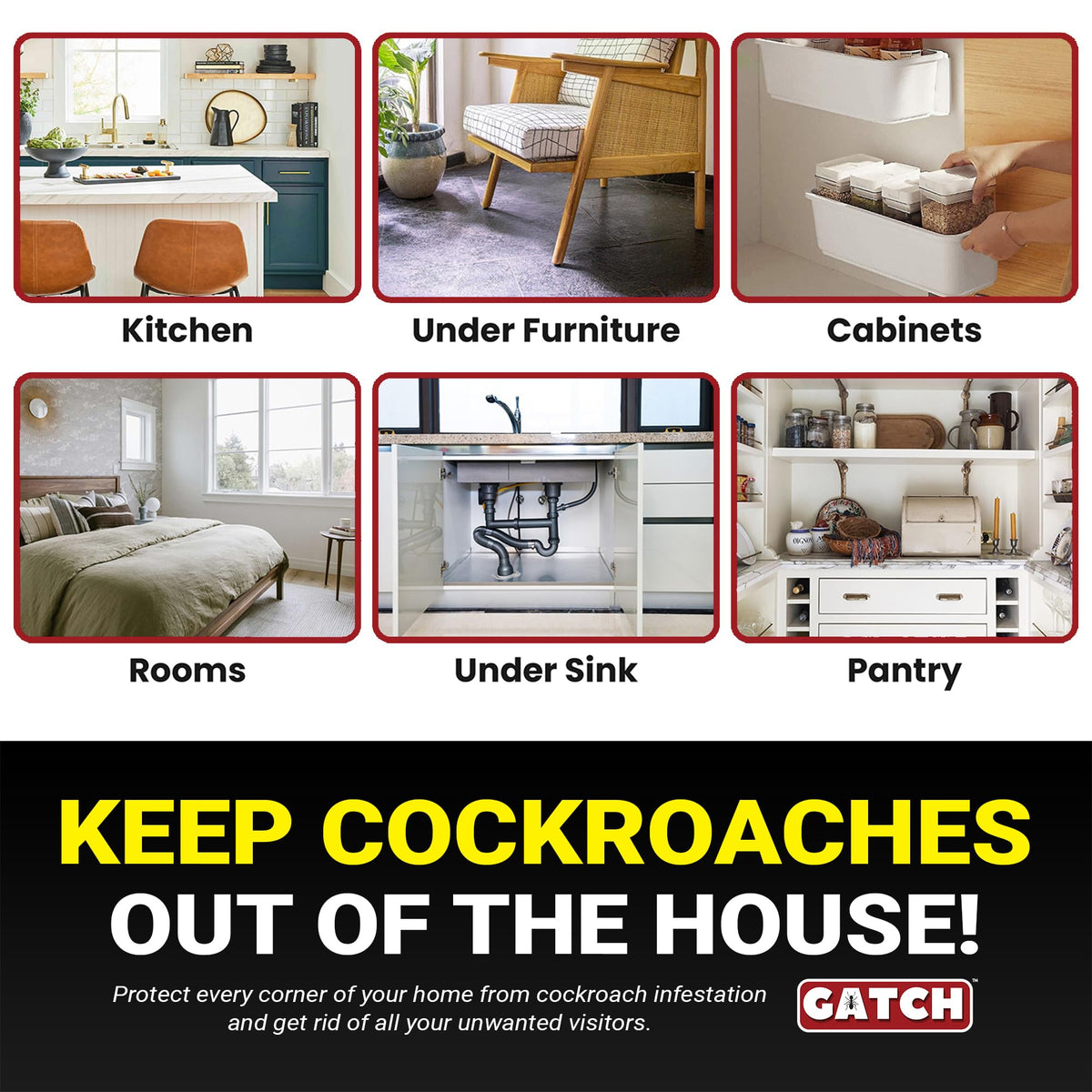 GATCH easy-setup roach trap for quick placement and fast results