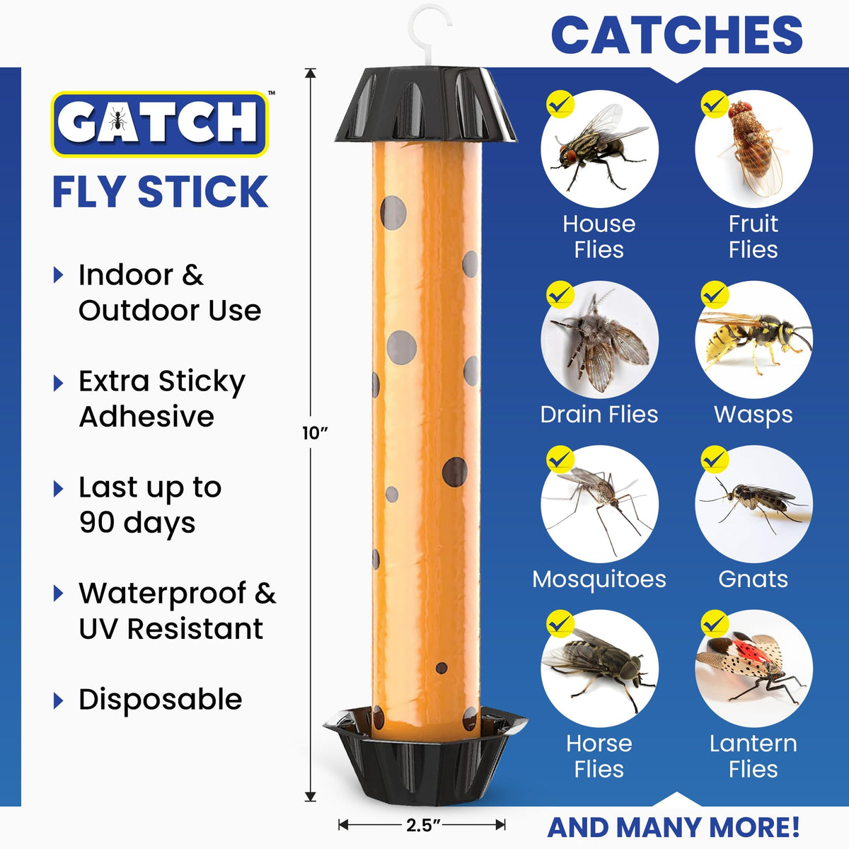 GATCH fruit fly trap adhesive close-up showing secure grip on pests.