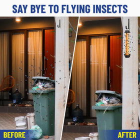 GATCH fruit fly trap hanging mount demonstrating versatile placement options.