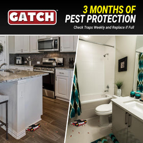 GATCH multi-entry roach trap placed along a baseboard to catch roaming insects