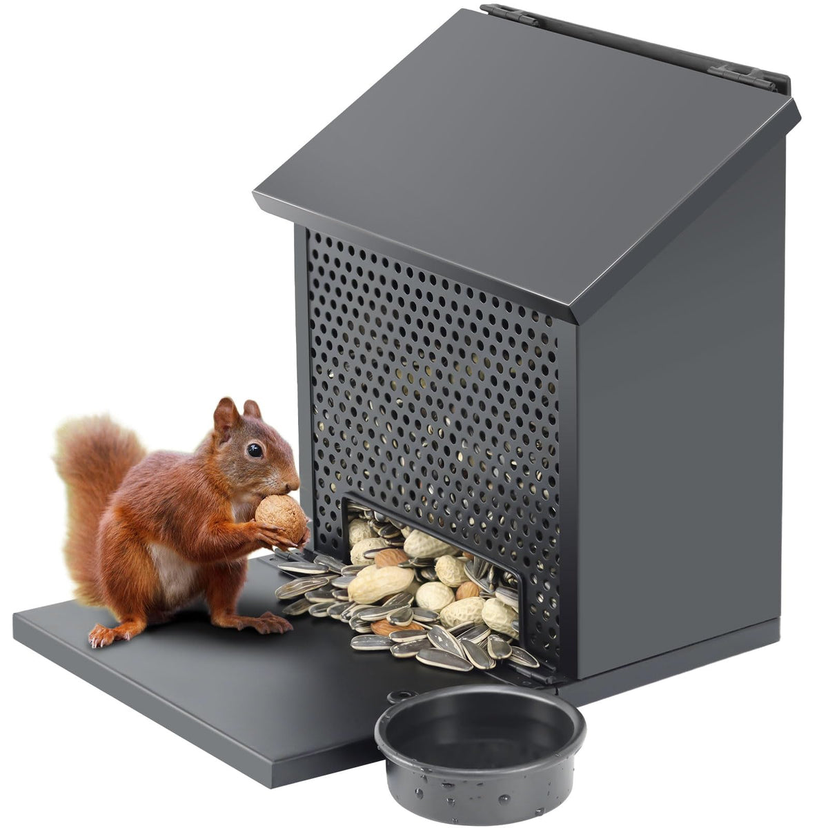 Gavinjitao foldable front panel squirrel feeder with roomy outdoor feeding area