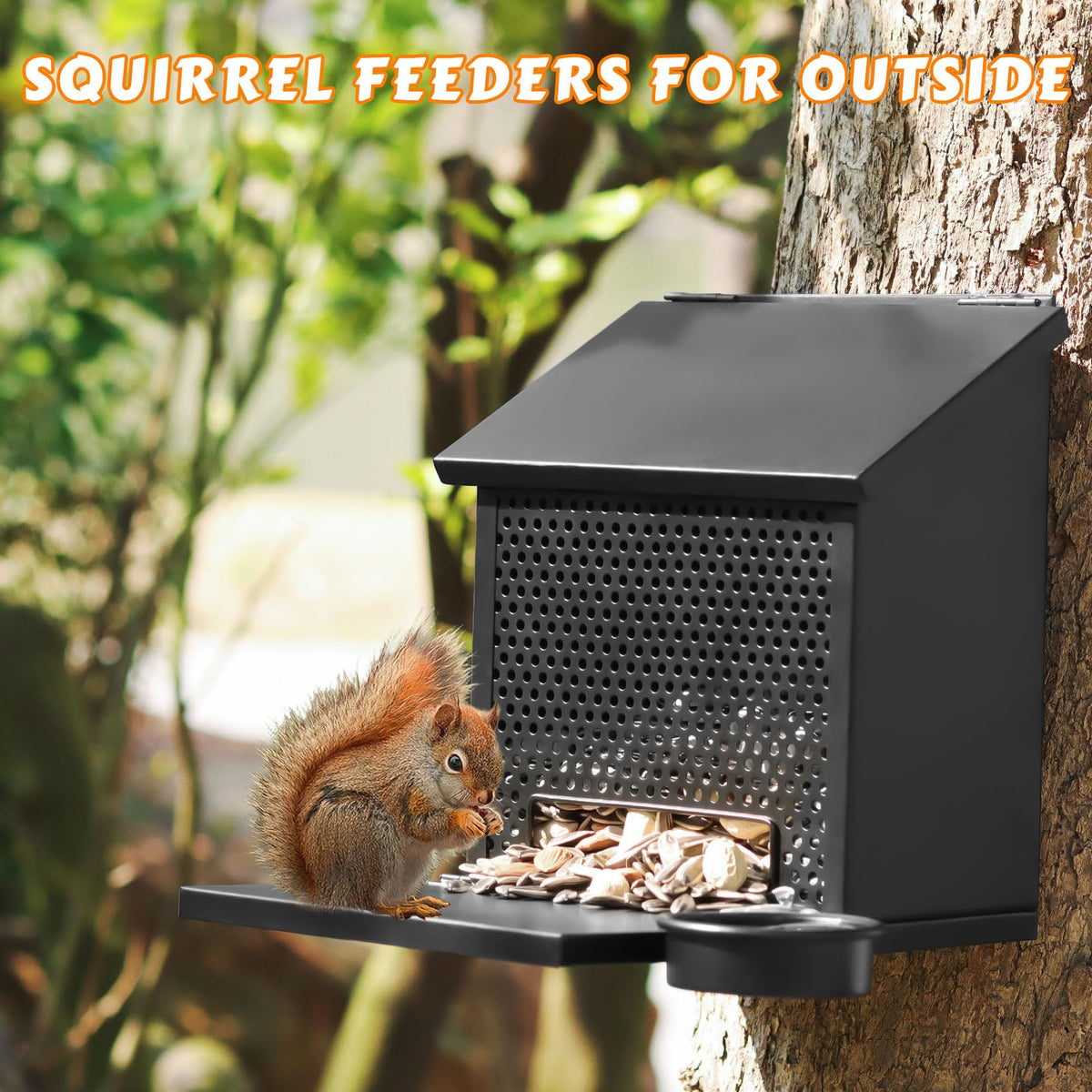 Gavinjitao mesh construction attracts squirrels to the food