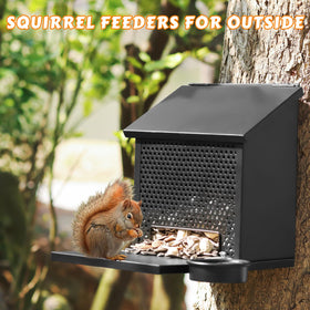 Gavinjitao mesh construction attracts squirrels to the food