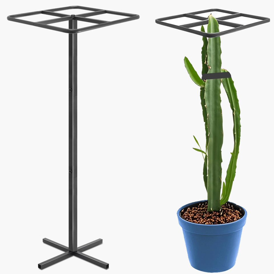 Gavinjitao Dragon Fruit Trellis front view supports vertical growth for climbing plants
