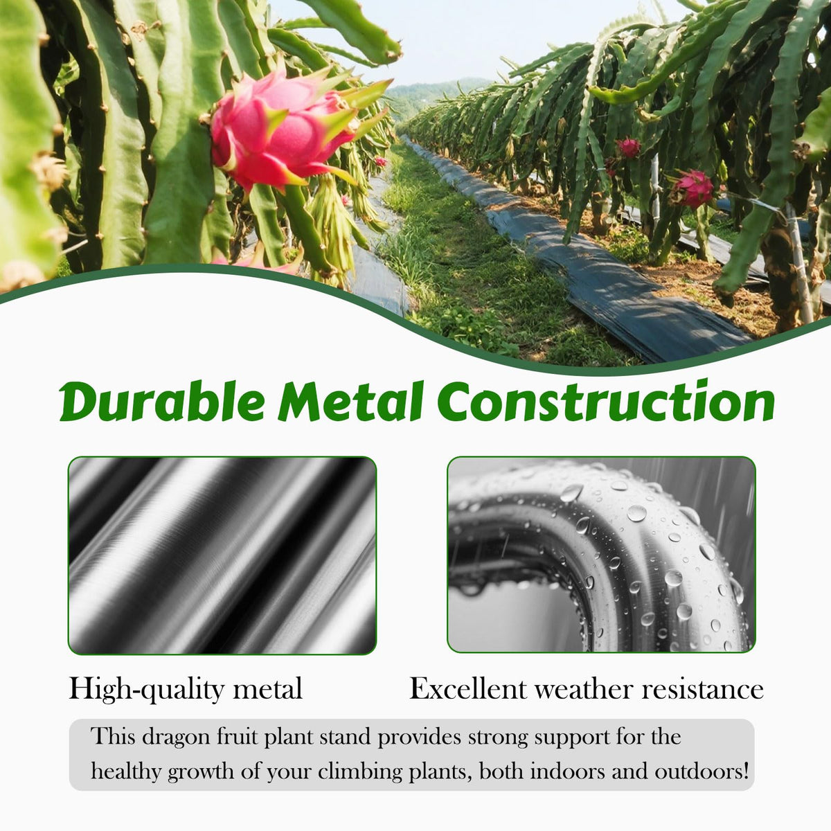 Gavinjitao adjustable height trellis allowing vertical growth at each growth stage