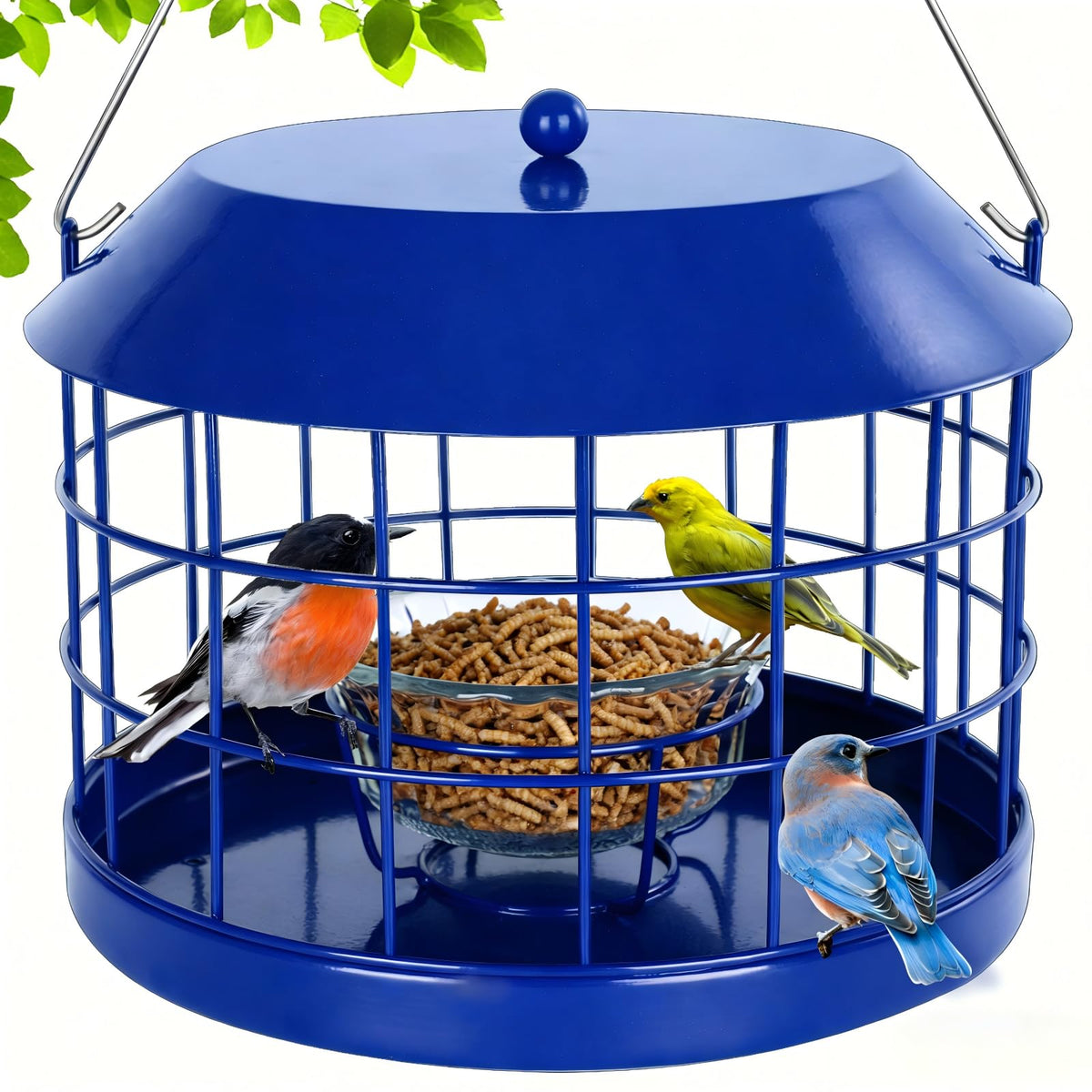 Gbekery caged bluebird feeder with mealworms and glass bowl for small birds, enabling safe feeding