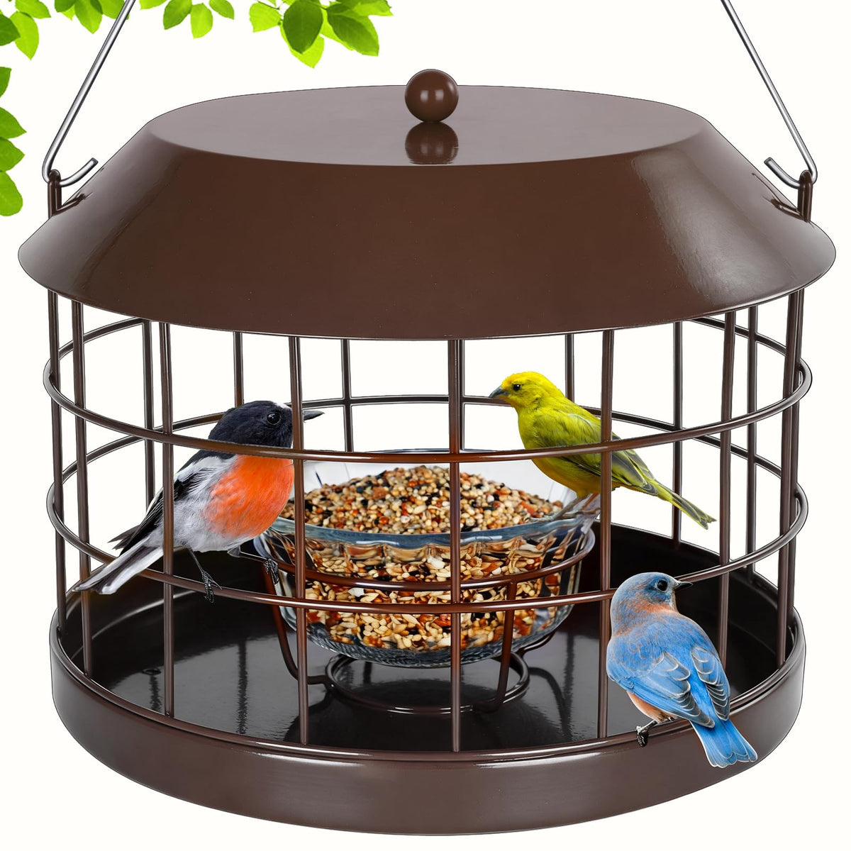Gbekery bluebird feeder with mealworm cage and glass bowl for precise feeding