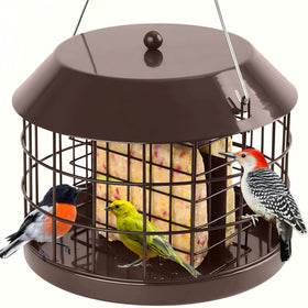 Gbekery caged suet bird feeder outdoors hanging safely attracts small songbirds.