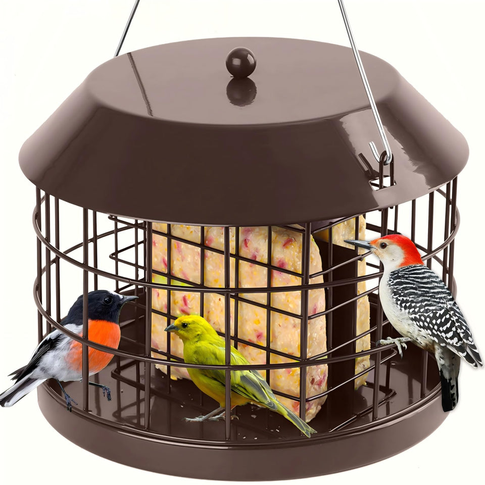 Gbekery caged suet bird feeder outdoors hanging safely attracts small songbirds.