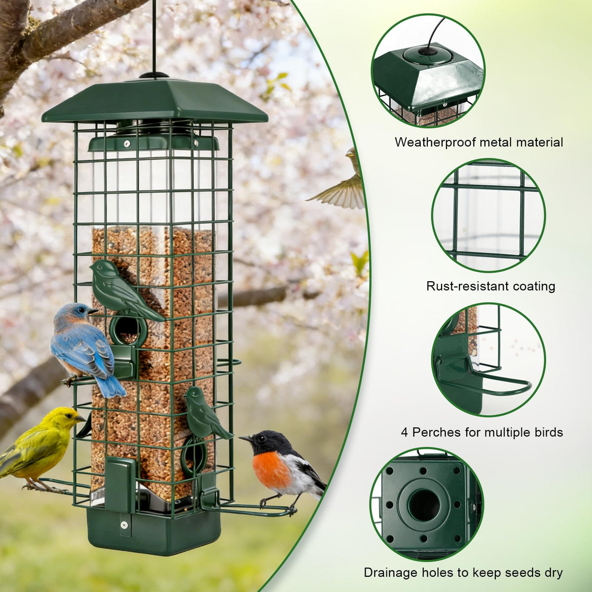 Gbekery feeder with four ports facilitates multiple birds.