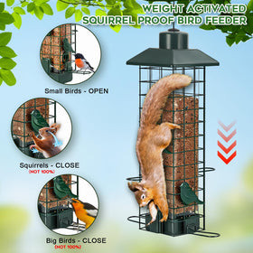 Gbekery large-capacity 3lb tube for extended bird feeding.