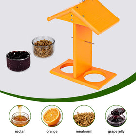 Gbekery Oriole Feeder supports fruit and jelly feeding for visiting orioles.