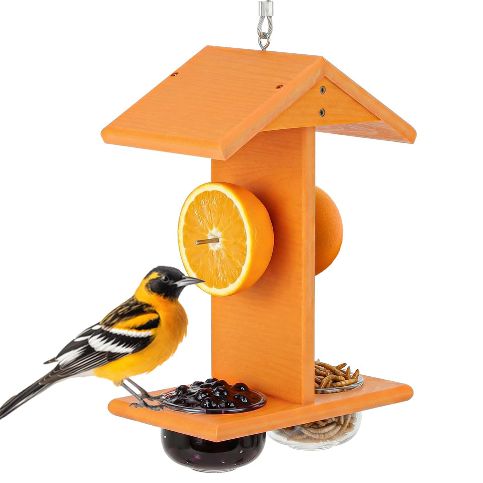 Gbekery Oriole Feeder outdoors hanging design attracts orioles with easy fruit access.