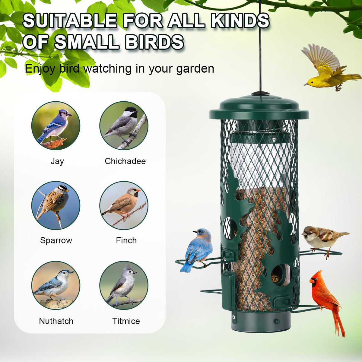 Gbekery ideal gift for nature lovers who enjoy birdwatching.