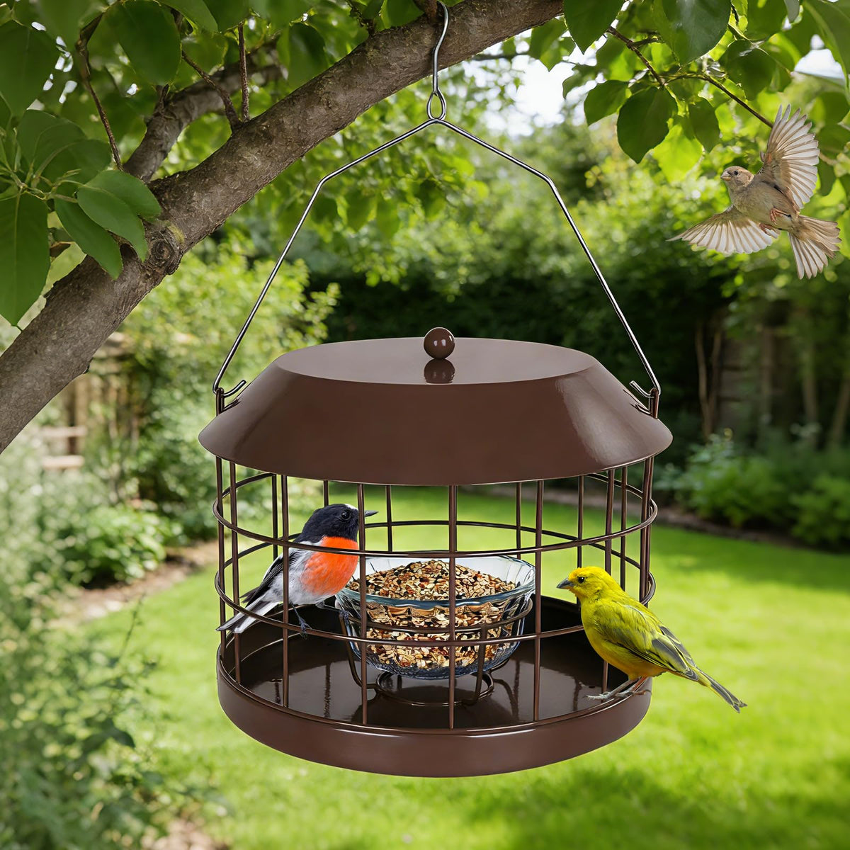 Gbekery squirrel-proof feeder protects small birds from intruders