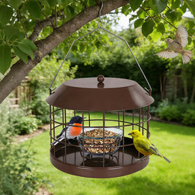 Gbekery squirrel-proof feeder protects small birds from intruders