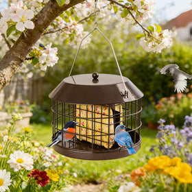 Gbekery squirrel-proof suet feeder double cage keeps larger pests out.