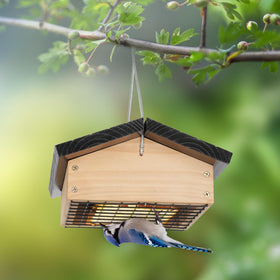 Gbekery Upside-Down Suet Feeder weatherproof roof keeps food dry.