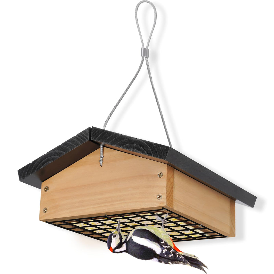 Gbekery Upside-Down Suet Feeder woodpecker visit with cedar wood design.