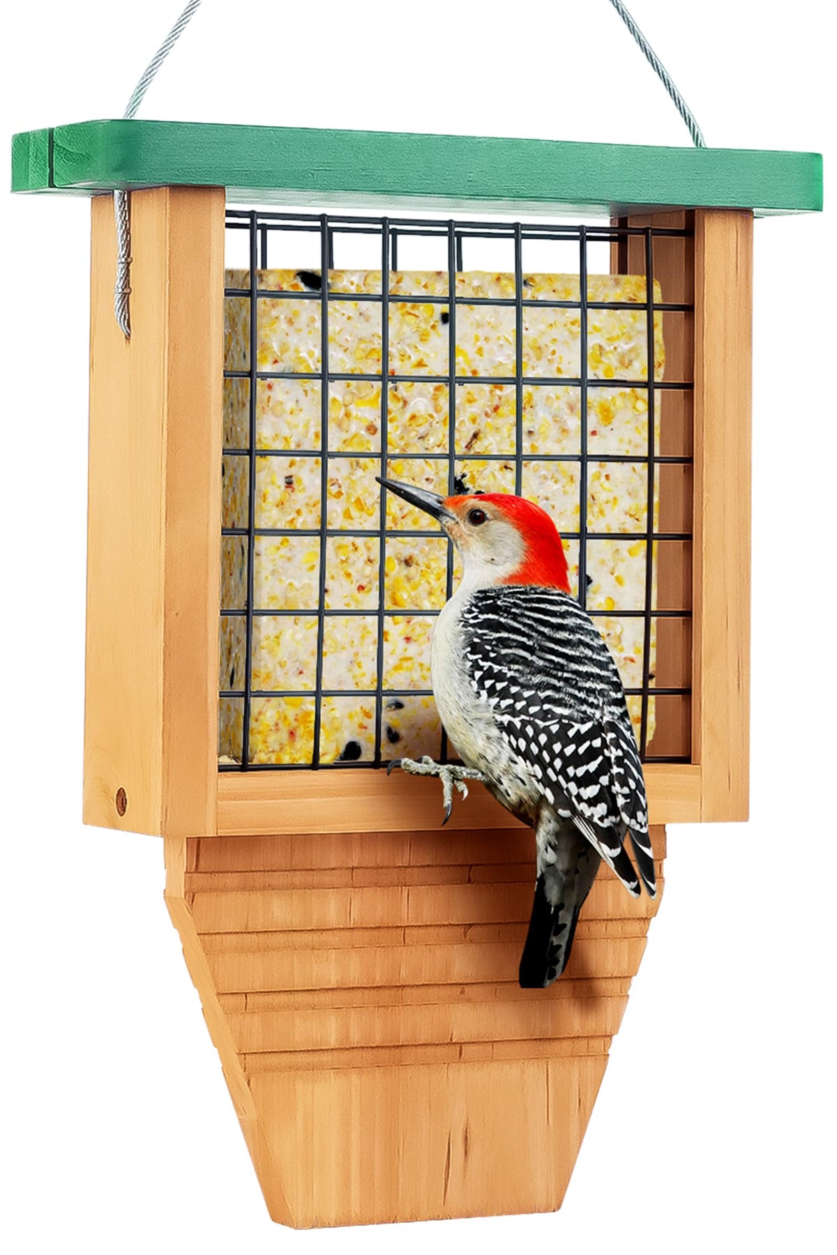 Gbekery wooden suet feeder for outside hanging shows a sturdy cedar design.