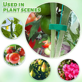 GCTWFYK double-sided plant tape, protects stems while securing growth.