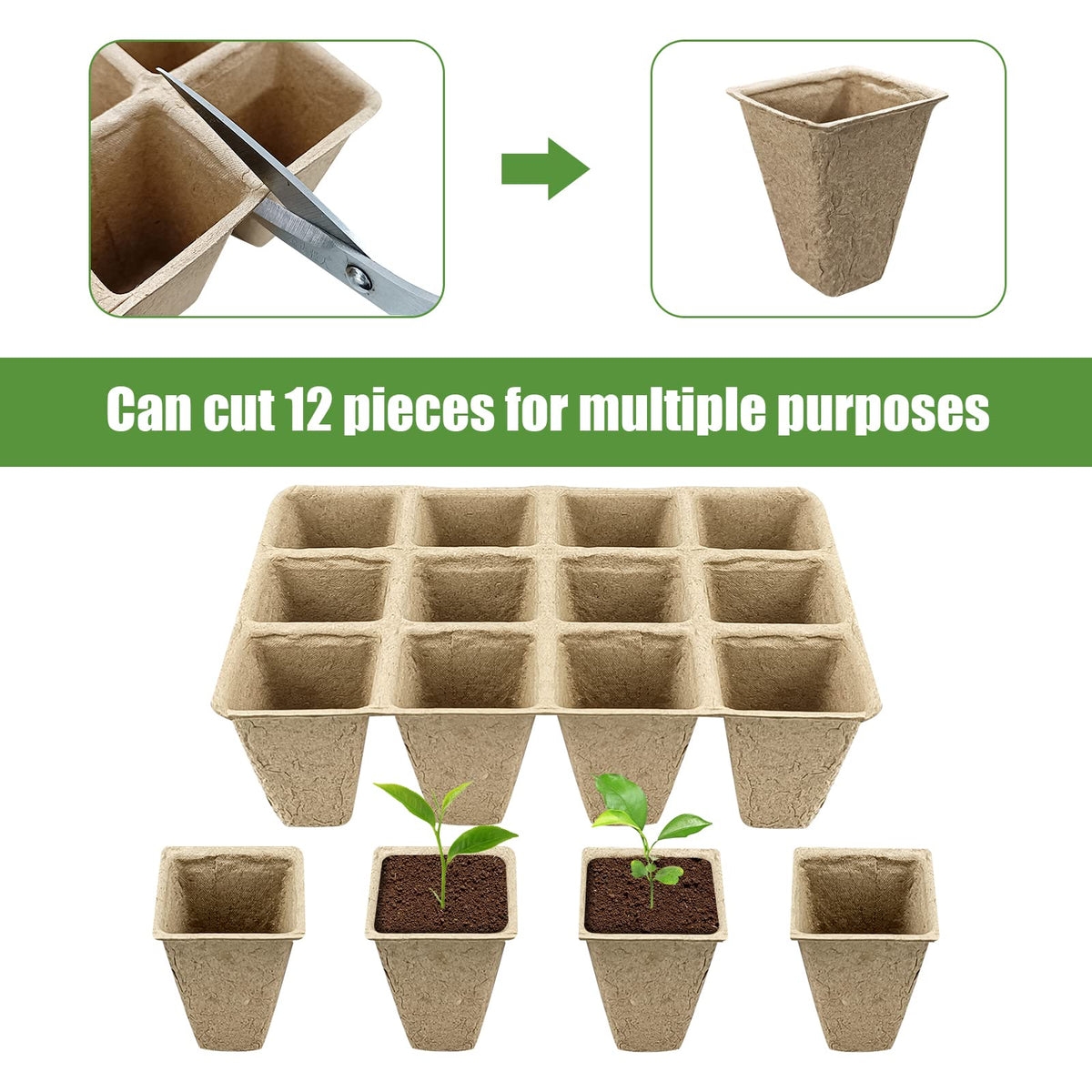 GCVOPTON biodegradable pulp material demonstrates eco-friendly seed starting components