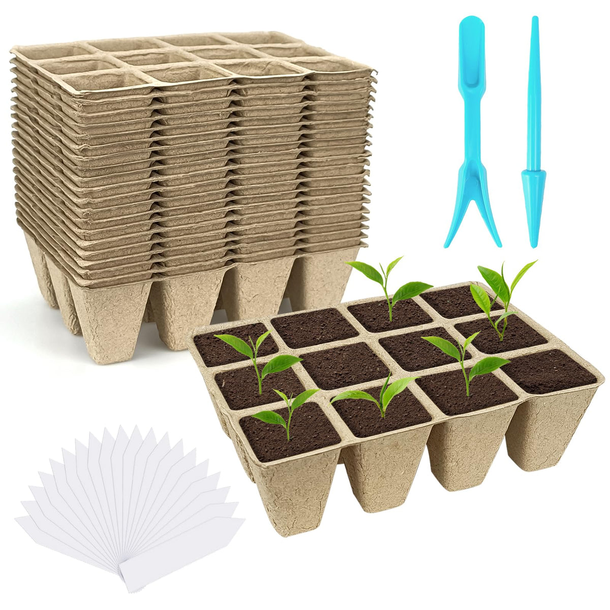 GCVOPTON peat pots tray setup shows easy seed starting for home gardens