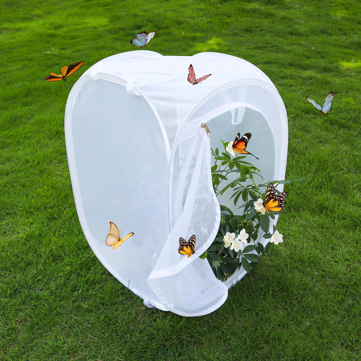 GDanes collapsible enclosure folds flat for convenient storage.