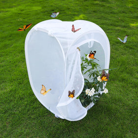 GDanes collapsible enclosure folds flat for convenient storage.