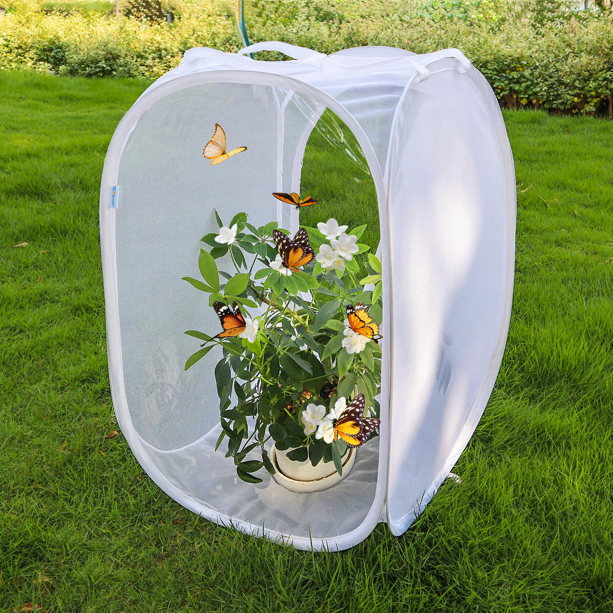 GDanes butterfly habitat with zipper side opening for simple feeding.