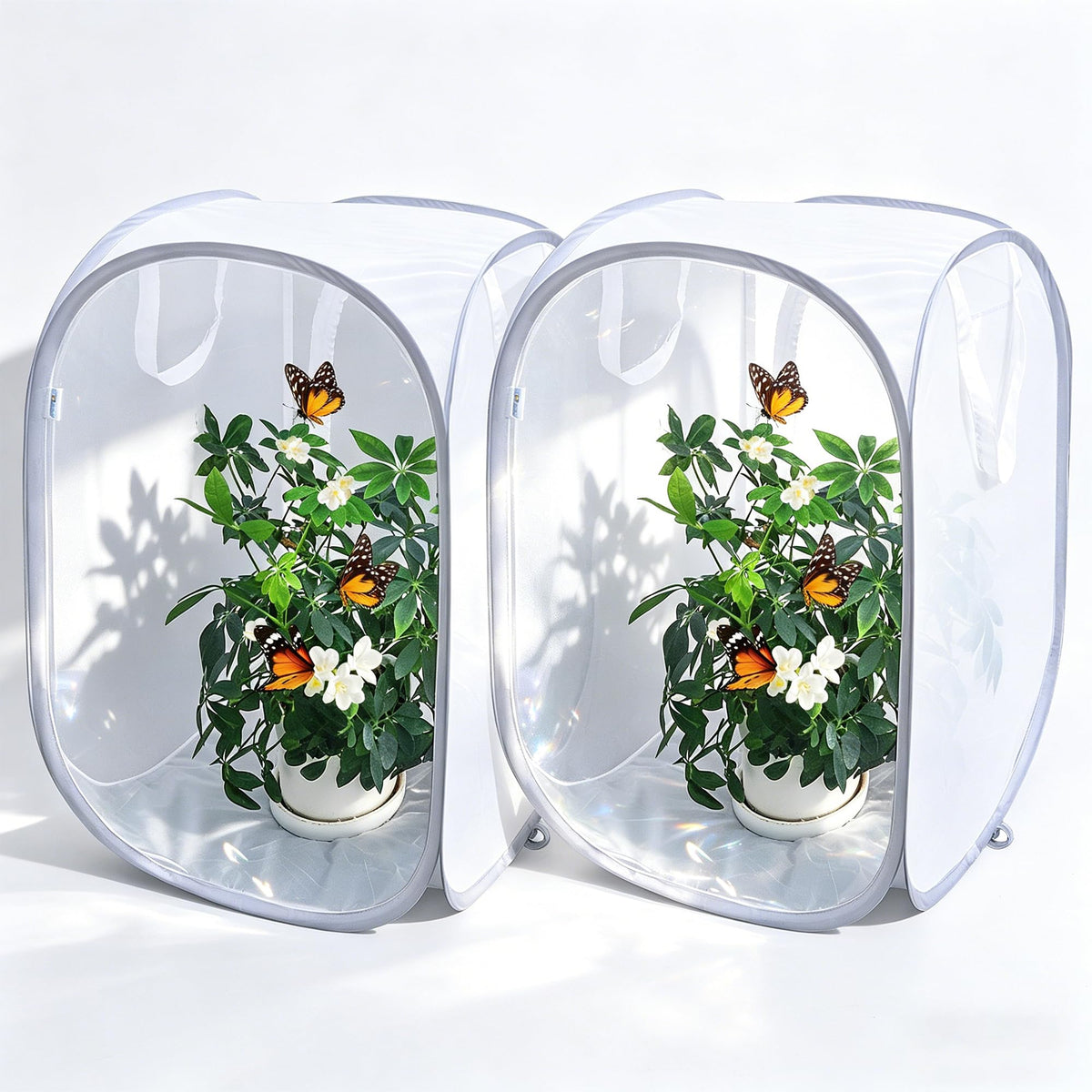 GDanes pop-up butterfly habitat with clear mesh for easy observation.
