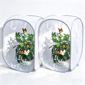GDanes pop-up butterfly habitat with clear mesh for easy observation.