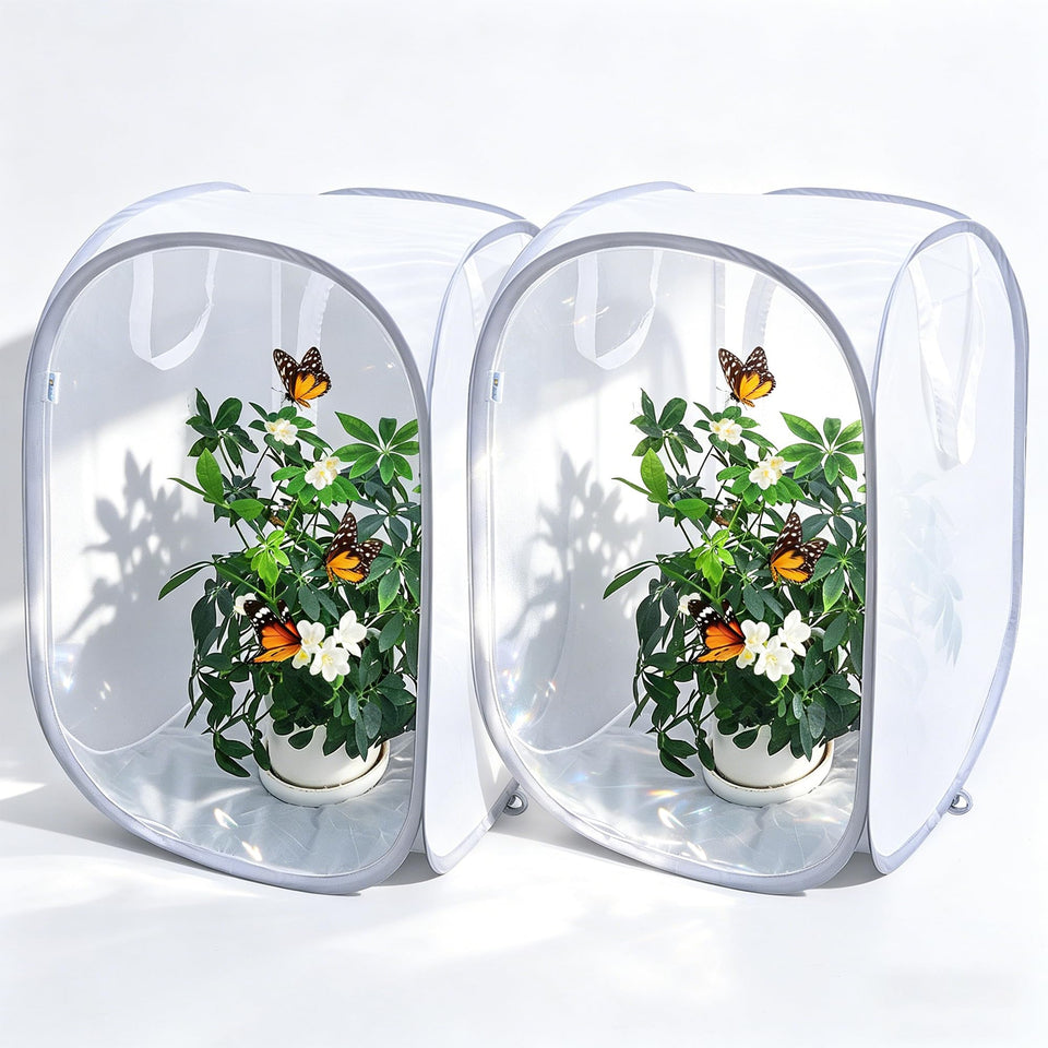 GDanes pop-up butterfly habitat with clear mesh for easy observation.