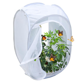 GDanes pop-up habitat inside view with plants supports observation of life cycles