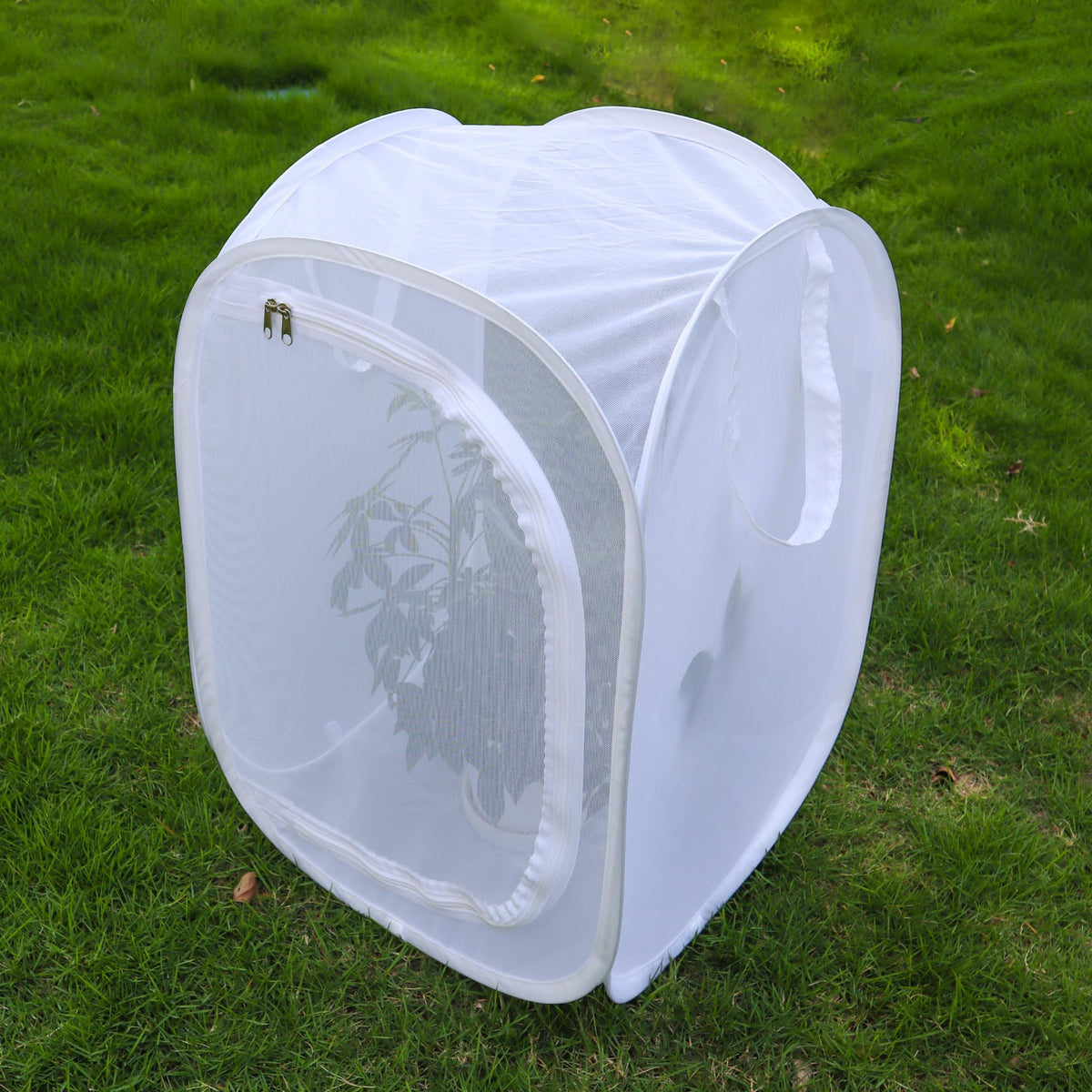 GDanes pop-up habitat life cycle observation captures caterpillars becoming butterflies