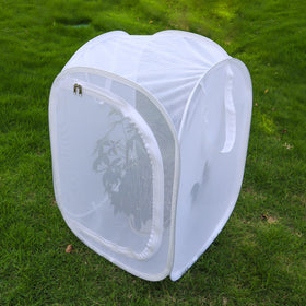 GDanes pop-up habitat life cycle observation captures caterpillars becoming butterflies