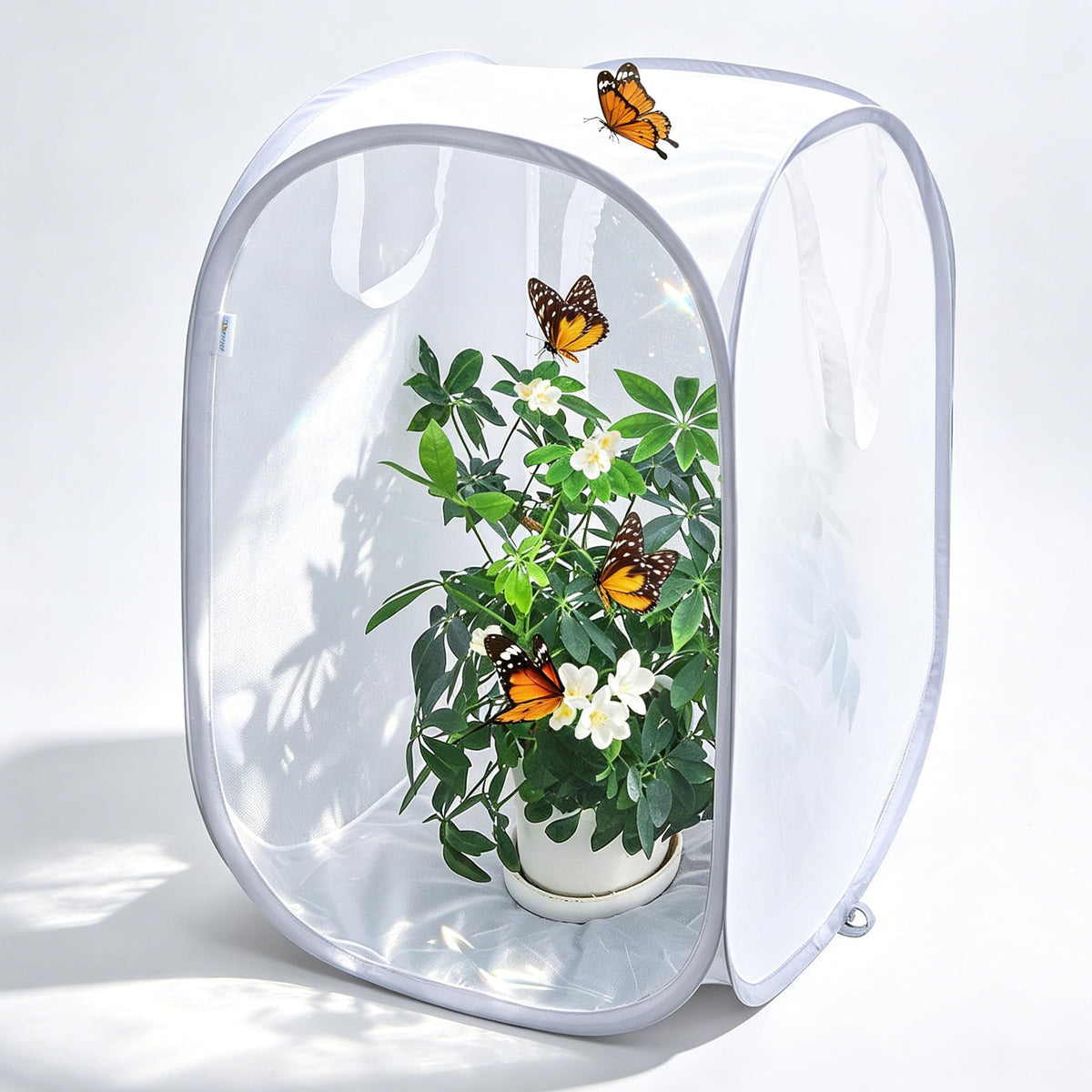 GDanes pop-up habitat outer view shows a sturdy butterfly enclosure for safe observation