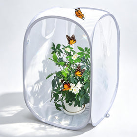 GDanes pop-up habitat outer view shows a sturdy butterfly enclosure for safe observation