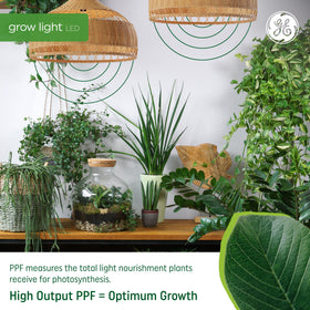 GE Grow full spectrum white light appears natural, while feeding plants with red and blue wavelengths