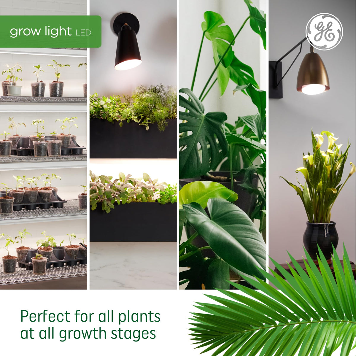 GE Grow LED bulb offers up to 25,000 hours of reliable operation