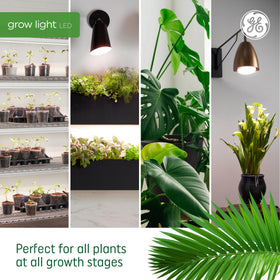 GE Grow LED bulb offers up to 25,000 hours of reliable operation