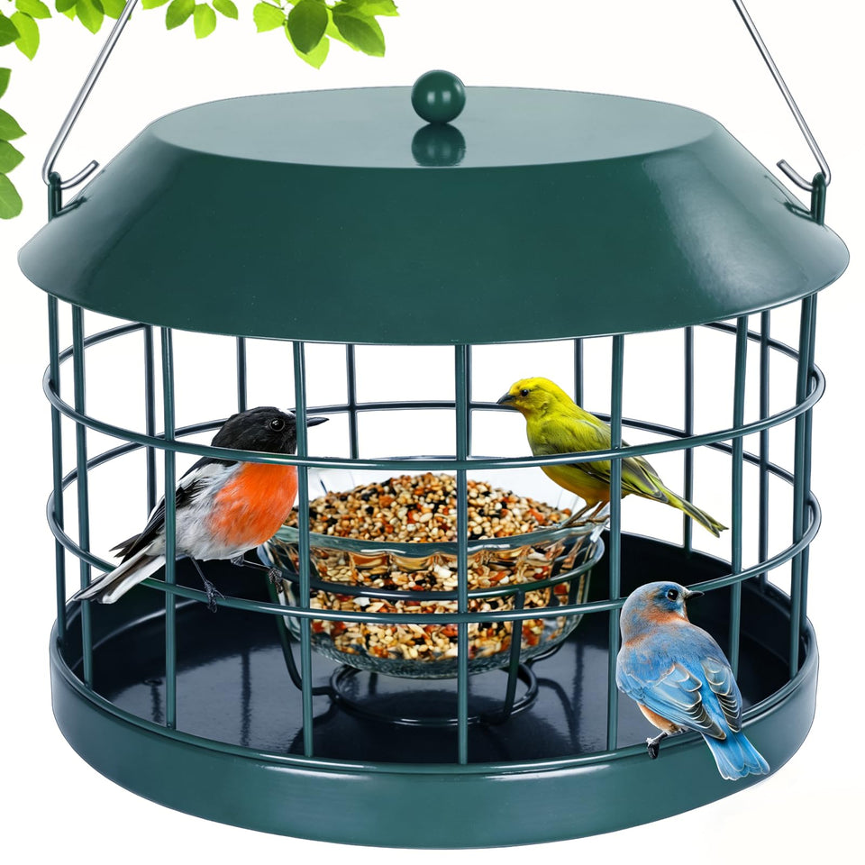 Gbekery Caged Bluebird Feeder with Glass Bowl for small birds outdoors