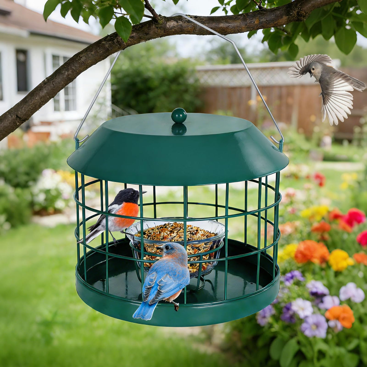 Gbekery Mealworm Feeder in metal housing for durable use