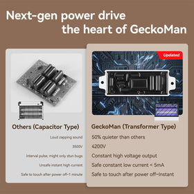 GeckoMan zapper top view and dual bulbs included.