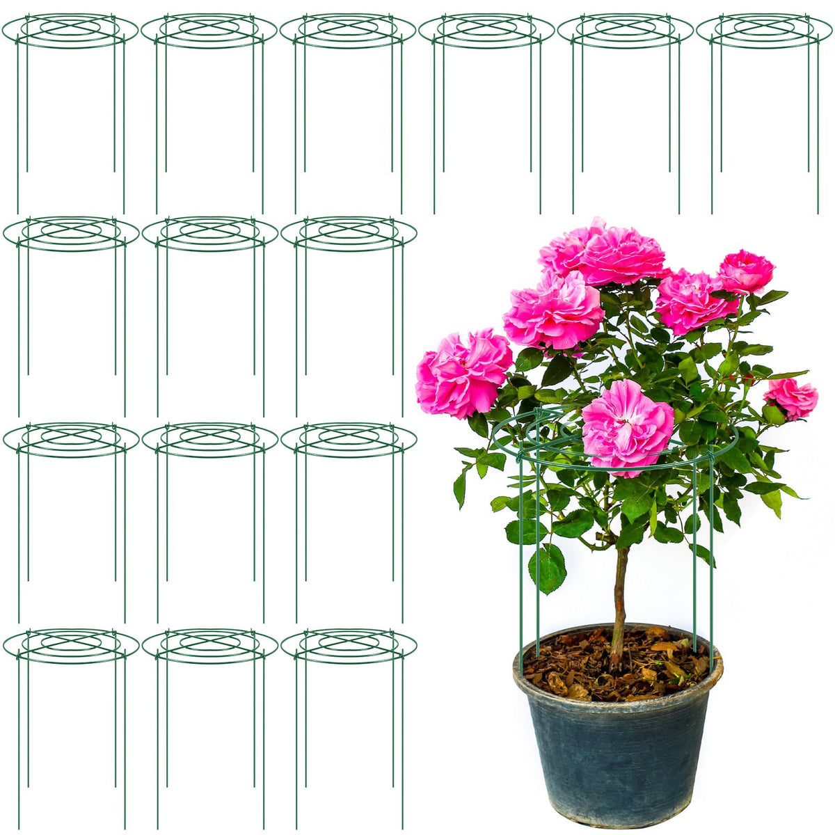 Geelin peony cages frame assembly in a garden for tall blooming plants.