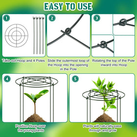 Geelin grow-through cages supporting tomatoes and roses in an outdoor garden.