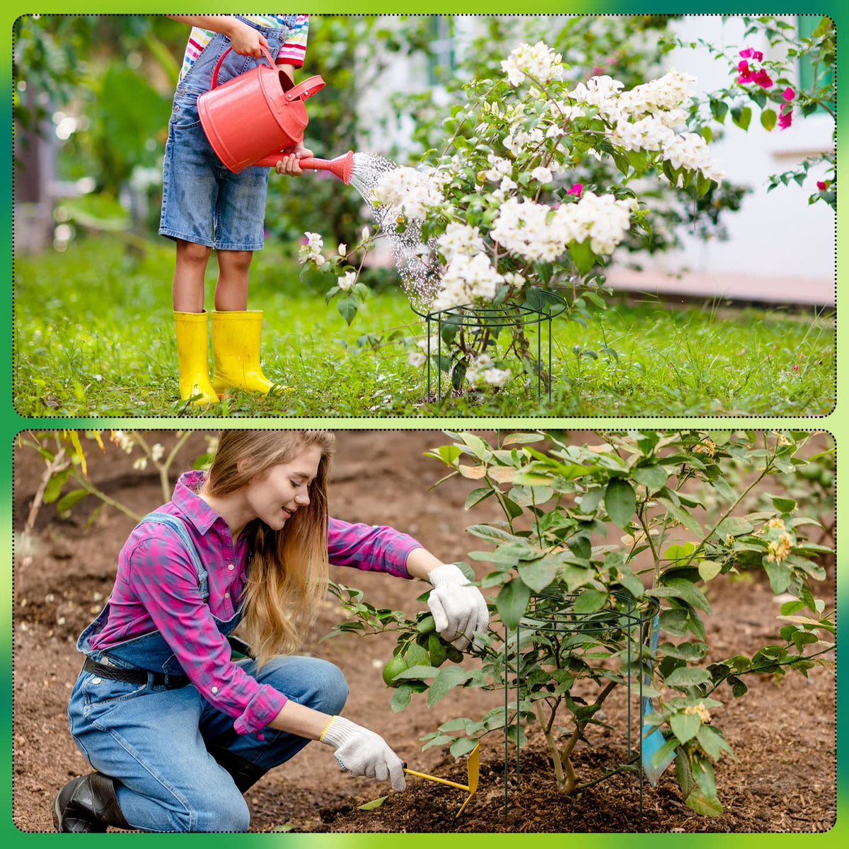 Geelin green-coated cages blend with foliage for subtle plant support.