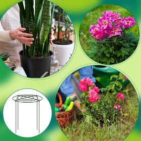 Geelin rustproof metal cages endure weather while keeping plants upright.